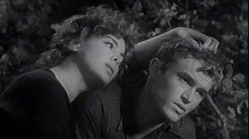 The Year Long Road filmas žiurėti online