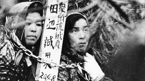 Kashima Paradise filmas žiurėti online