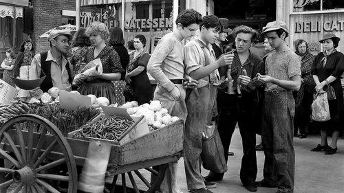 Little Tough Guy filmas žiurėti online