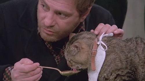 Eye of the Cat filmas žiurėti online