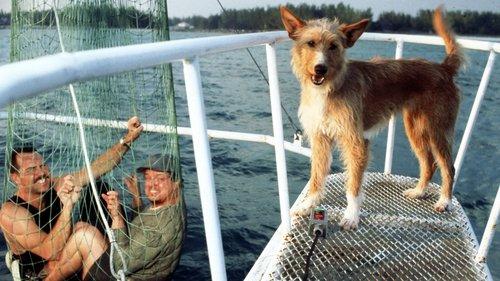 Zeus & Roxanne filmas žiurėti online