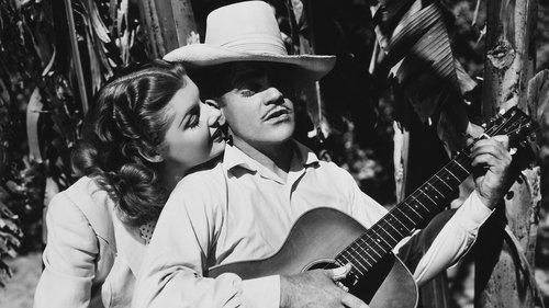 Torrid Zone filmas žiurėti online