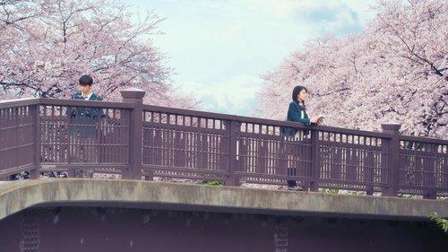 Let Me Eat Your Pancreas filmas žiurėti online