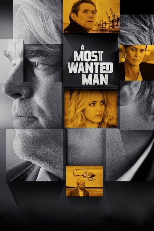 A Most Wanted Man filmas online