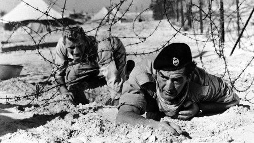 Tank Force! filmas žiurėti online