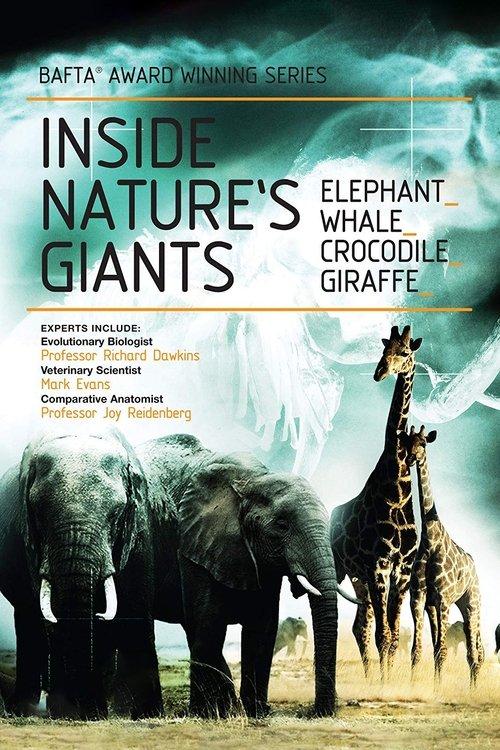 Inside Nature's Giants filmas online