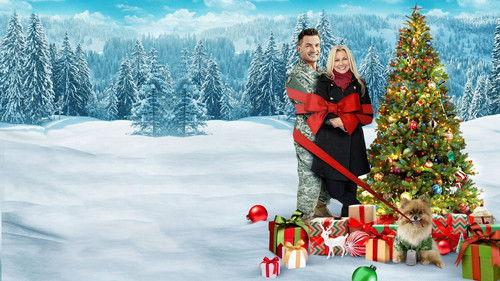 Charlie's Christmas Wish filmas žiurėti online