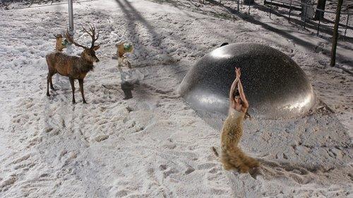 Face filmas žiurėti online