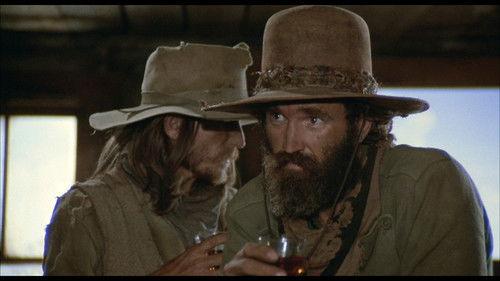 The Culpepper Cattle Co. filmas žiurėti online