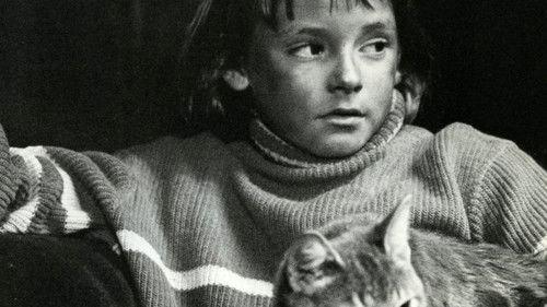 The Alley Cat filmas žiurėti online