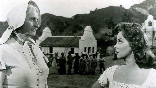 Untamed filmas žiurėti online