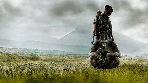 Virunga filmas žiurėti online