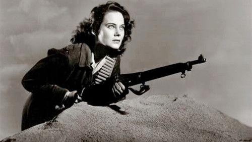 Sword in the Desert filmas žiurėti online