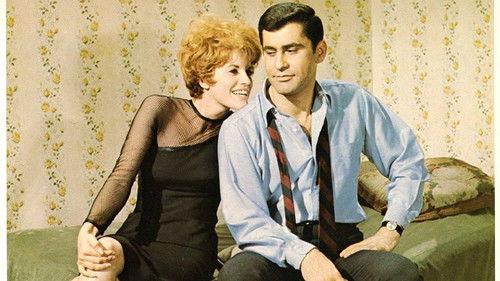 The Pad and How to Use It filmas žiurėti online