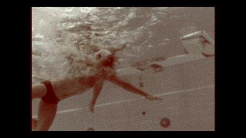 Freedom's Fury filmas žiurėti online