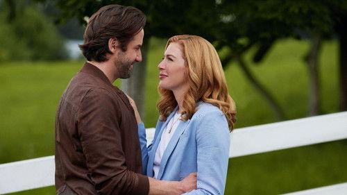 The Secrets of Bella Vista filmas žiurėti online