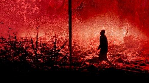 Calvaire filmas žiurėti online