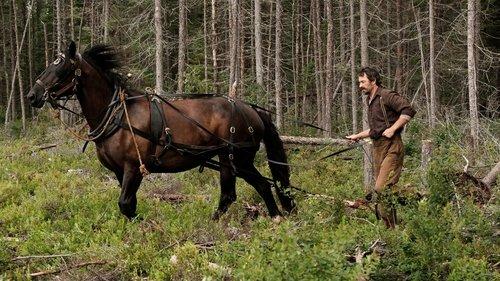 Maria Chapdelaine filmas žiurėti online