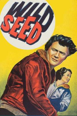 Wild Seed filmas online