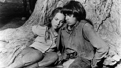 Jory filmas žiurėti online