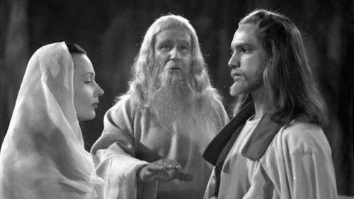 The Evil Forest filmas žiurėti online