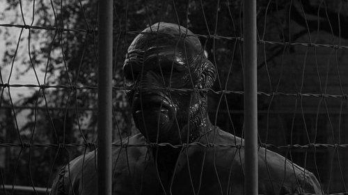 The Creature Walks Among Us filmas žiurėti online