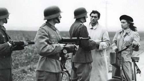 Red Meadows filmas žiurėti online