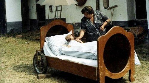 Slunce, seno, jahody filmas žiurėti online