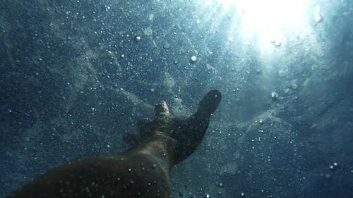 Fatal Watch filmas žiurėti online