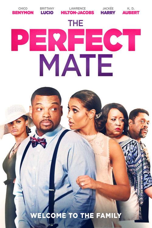 The Perfect Mate filmas online