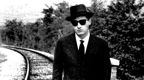 Il vedovo filmas žiurėti online