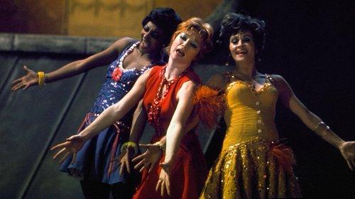 Sweet Charity filmas žiurėti online