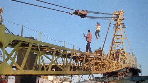 Avenging Force filmas žiurėti online