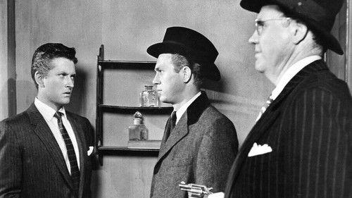 Never Love a Stranger filmas žiurėti online