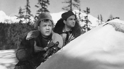 White Darkness filmas žiurėti online