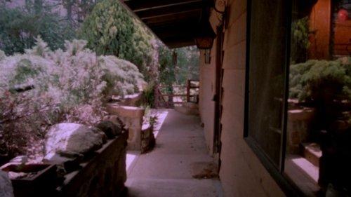 Pulsating Flesh filmas žiurėti online