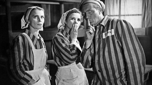 Ostatni etap filmas žiurėti online