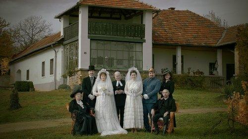 Mom and Other Loonies in the Family filmas žiurėti online