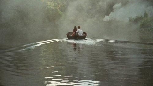 Adoration filmas žiurėti online