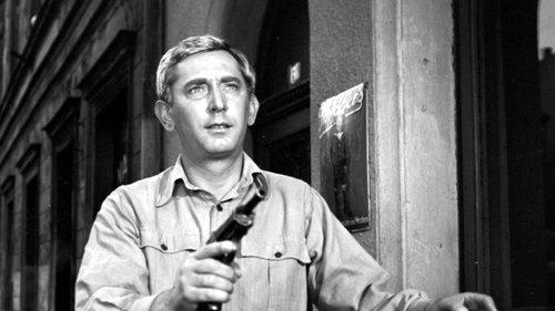 The Law and the Fist filmas žiurėti online