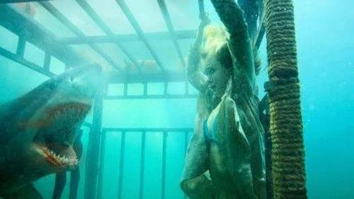 Raging Sharks filmas žiurėti online