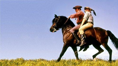 Justin Morgan Had a Horse filmas žiurėti online