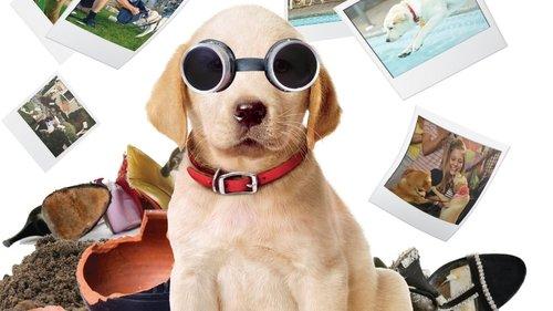 Marley & Me: The Puppy Years filmas žiurėti online