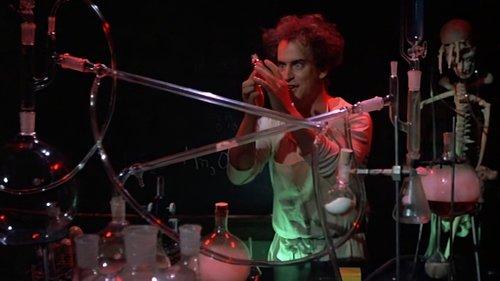 The Party Animal filmas žiurėti online