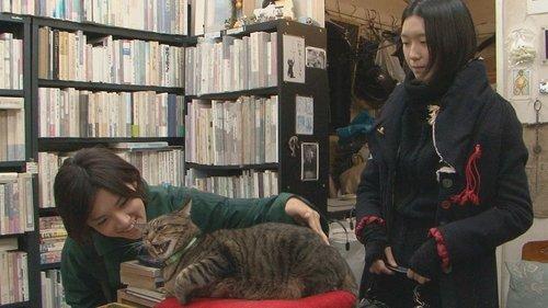 I’m a Cat Stalker filmas žiurėti online