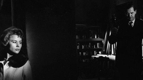 Crime in Paradise filmas žiurėti online