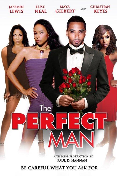 The Perfect Man filmas online