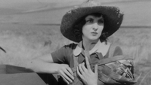 City Girl filmas žiurėti online