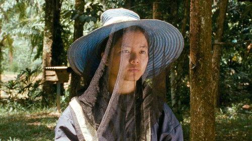 กระบี่, 2562 filmas žiurėti online