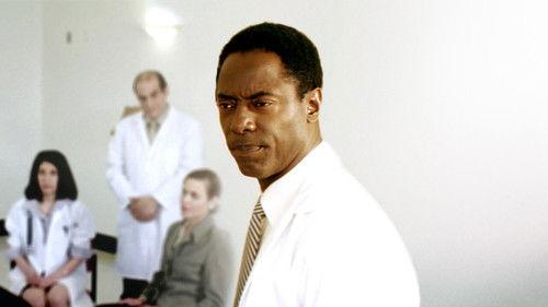 Doctor Bello filmas žiurėti online